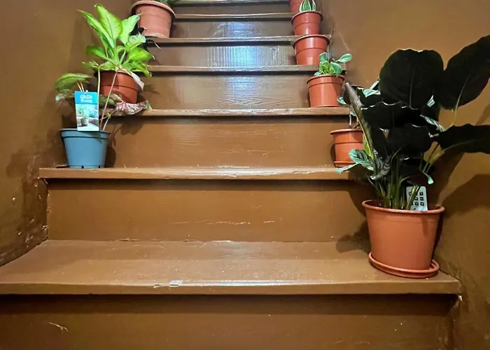 Sulemange In Mouraria, Centre 招待所 Lisboa